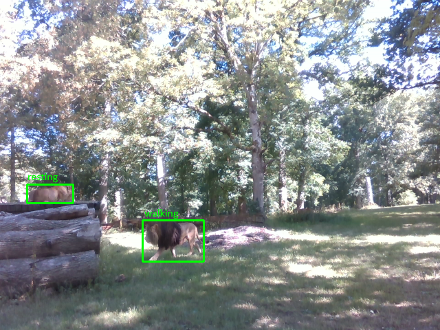 Wildlife sample frame