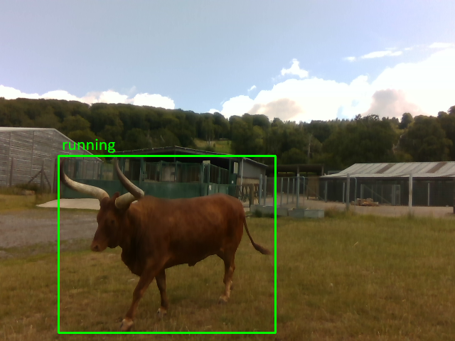 Wildlife sample frame