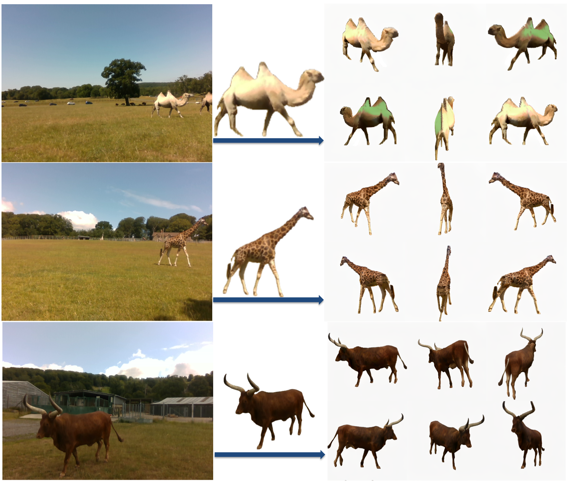 3D reconstruction results